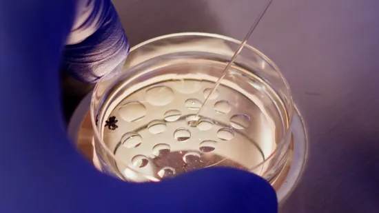 Scientist holding petri dish
